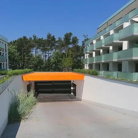 Piekny Bella Baltic Tuz Przy Plazy Widok Morze *