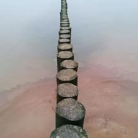 Piekny Bella Baltic Tuz Przy Plazy Widok Morze