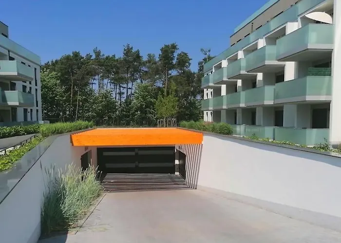 Piekny Bella Baltic Tuz Przy Plazy Widok Morze *